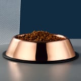 Rose Gold Stainless Steel Bowl For Pet - Image 3