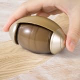 Travel Pet Hair Remover 1