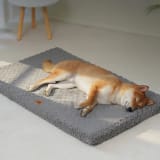Warm Plush Pet Sponge Bedmat - Image 1