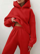 2026 Women's Autumn And Winter New Sales In Europe And America Casual Fashion With Thick Velvet And Warmth, Long Sleeve Hoodie And Pants, Two Piece Set - Image 11