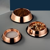 Rose Gold Stainless Steel Bowl For Pet - Image 1