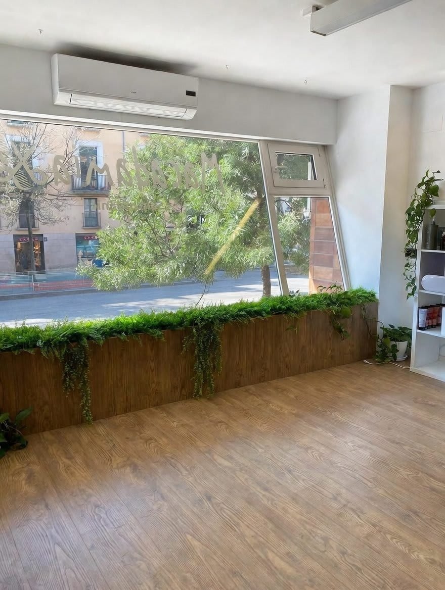 Zona de plantes saló orgànic Macadàmia Vic