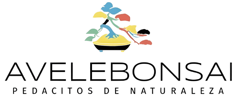 Client d'Oasis Digital - negoci local Osona
