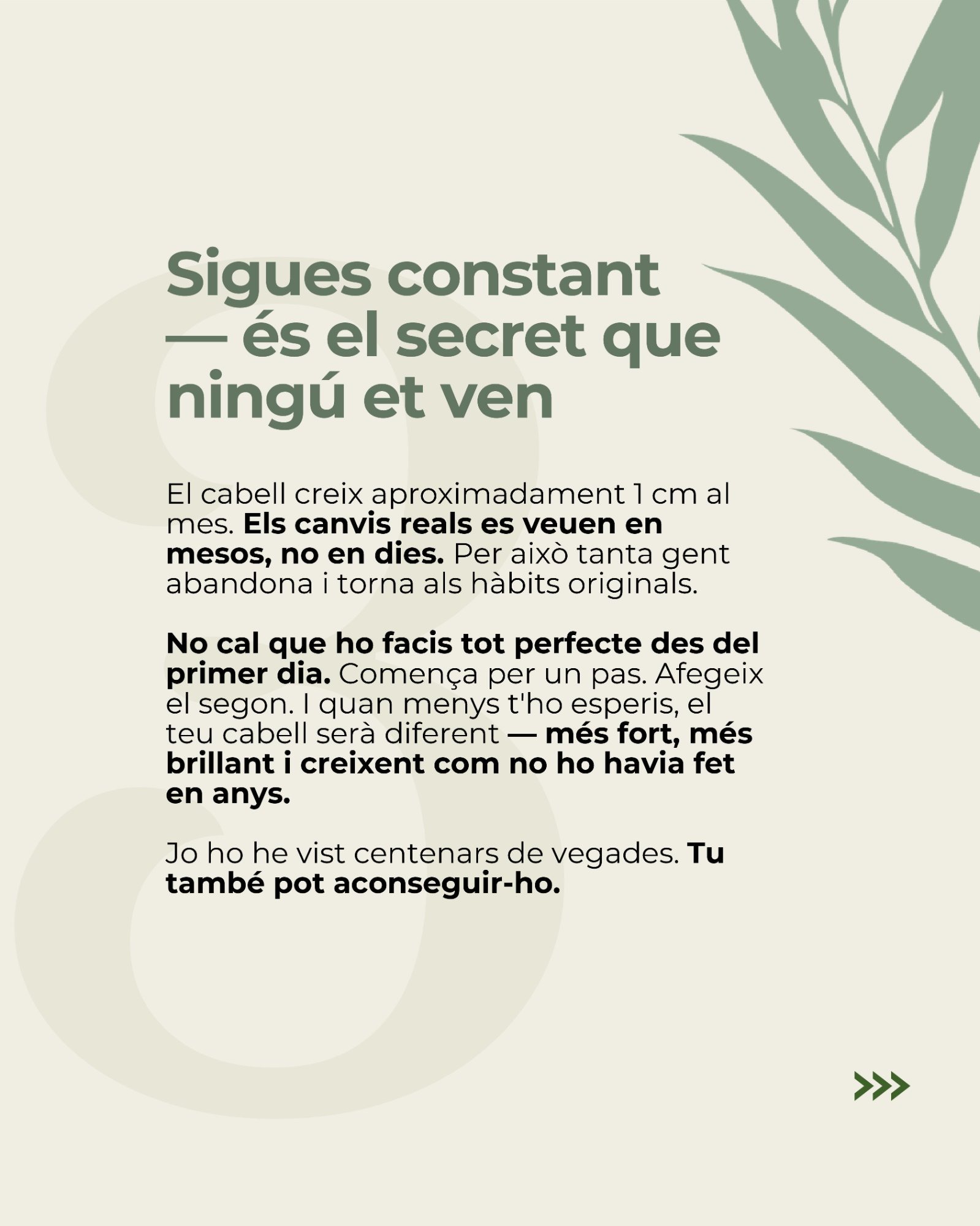Pàgina 5