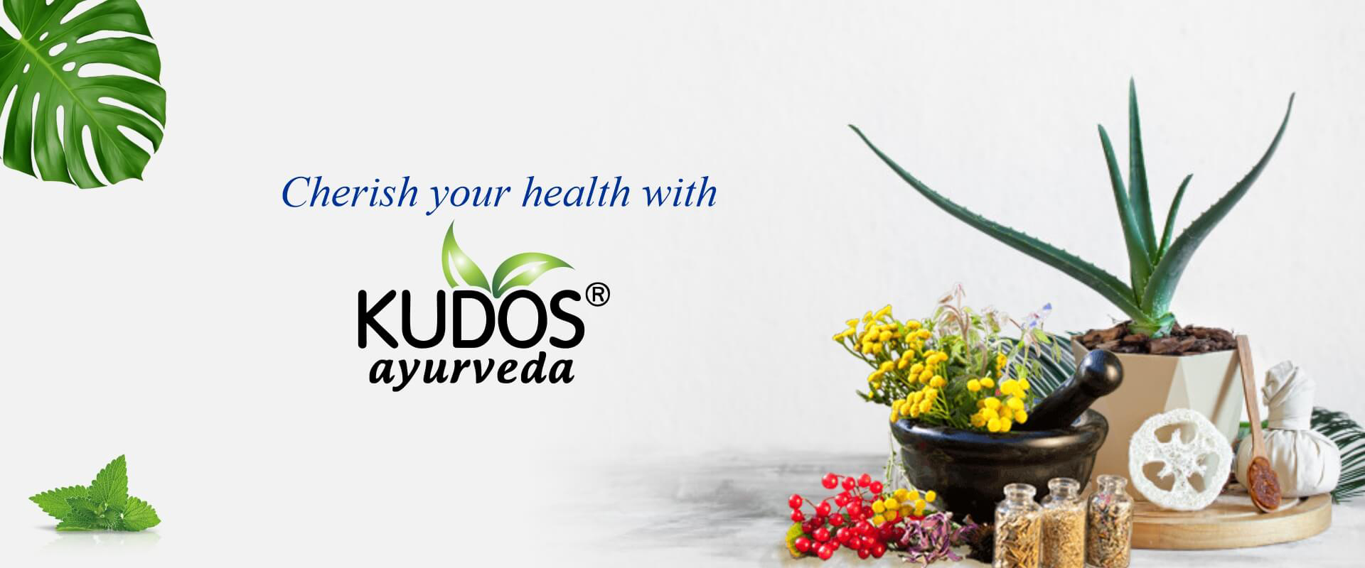 Ayurvedic Wellness