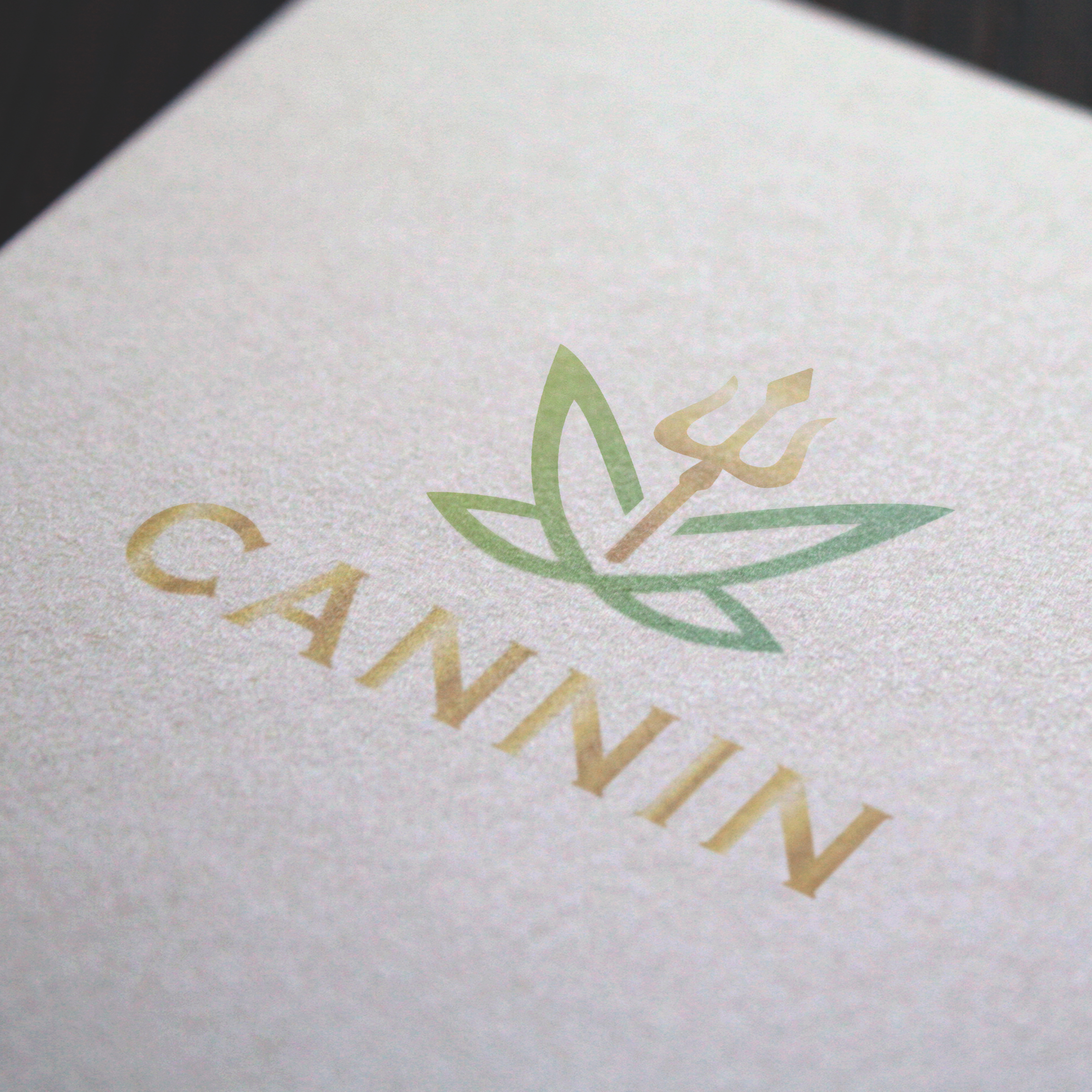 Cannin