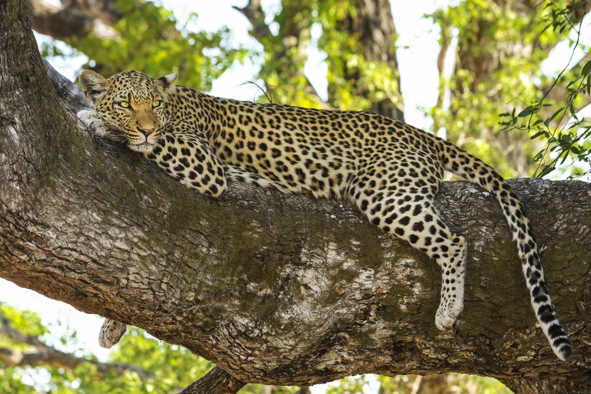 Arusha Region
