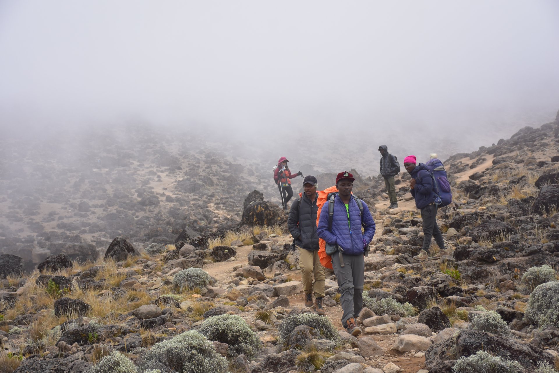 Professional Kilimanjaro guides and porters preparing for summit climb
