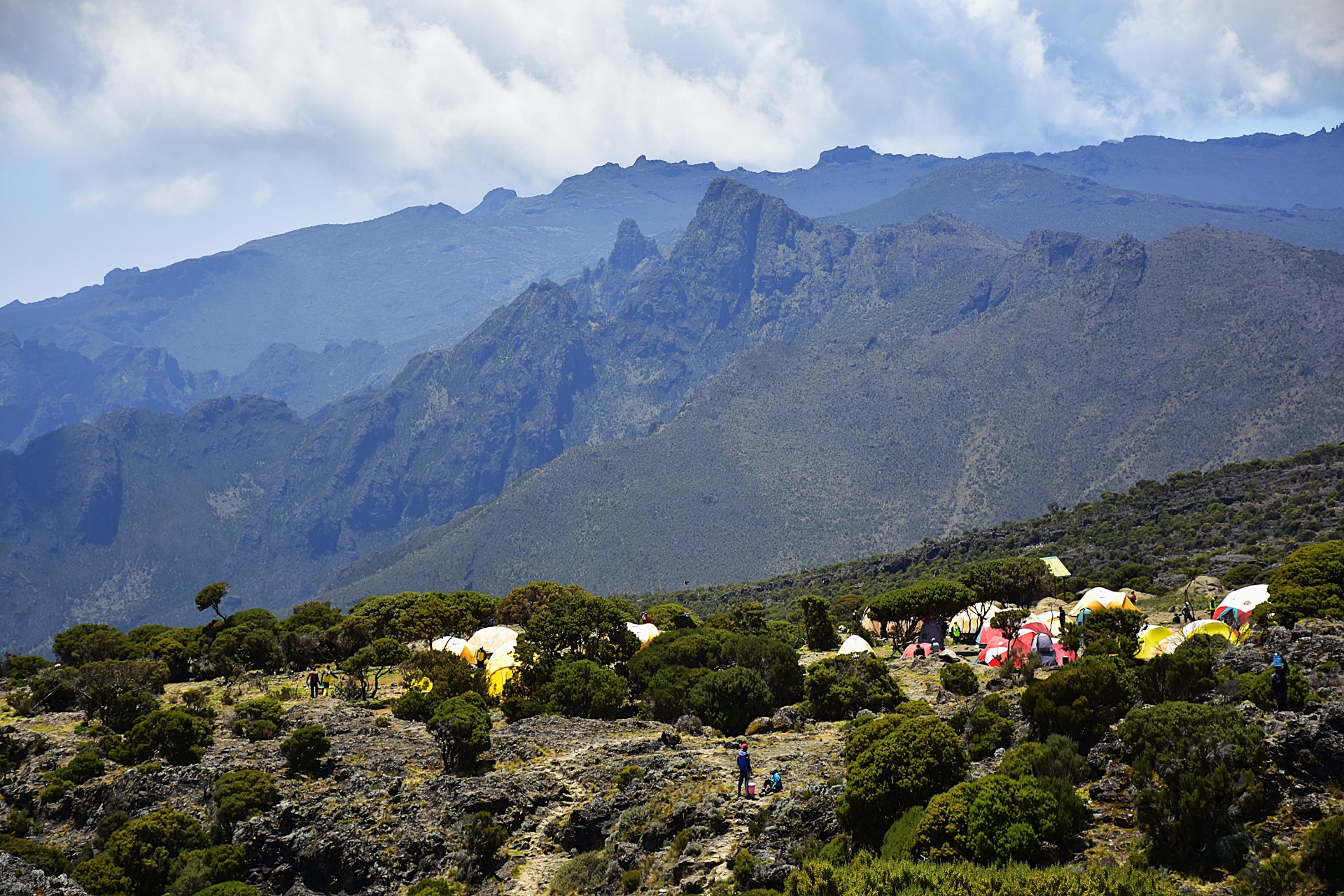Large group of hikers on Mount Kilimanjaro trekking route in Tanzania
