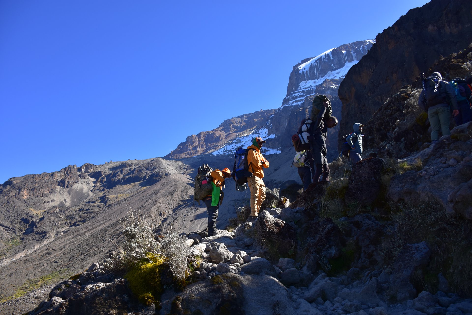 Climbers hiking across the Shira Plateau with sunrise views toward Uhuru Peak on Mount Kilimanjaro