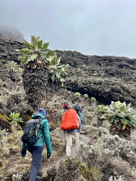 Mount Kilimanjaro trekkers near Shira Cathedral rock formations