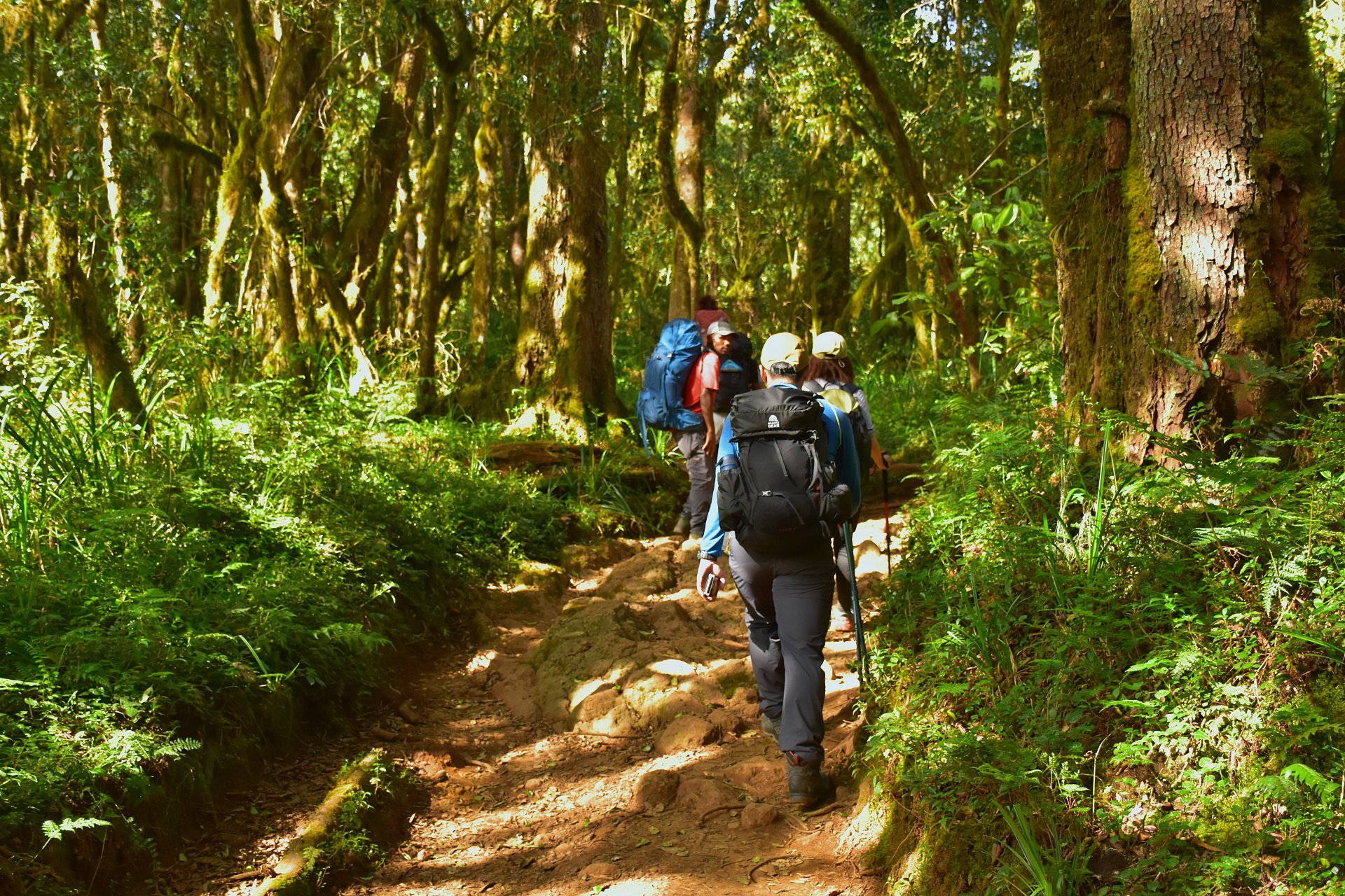 Trekkers approaching Uhuru Peak during sunrise on Mount Kilimanjaro