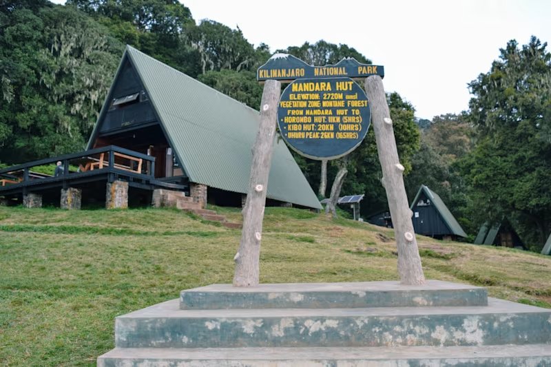 Rainforest trail leading toward Mandara Hut on Mount Kilimanjaro