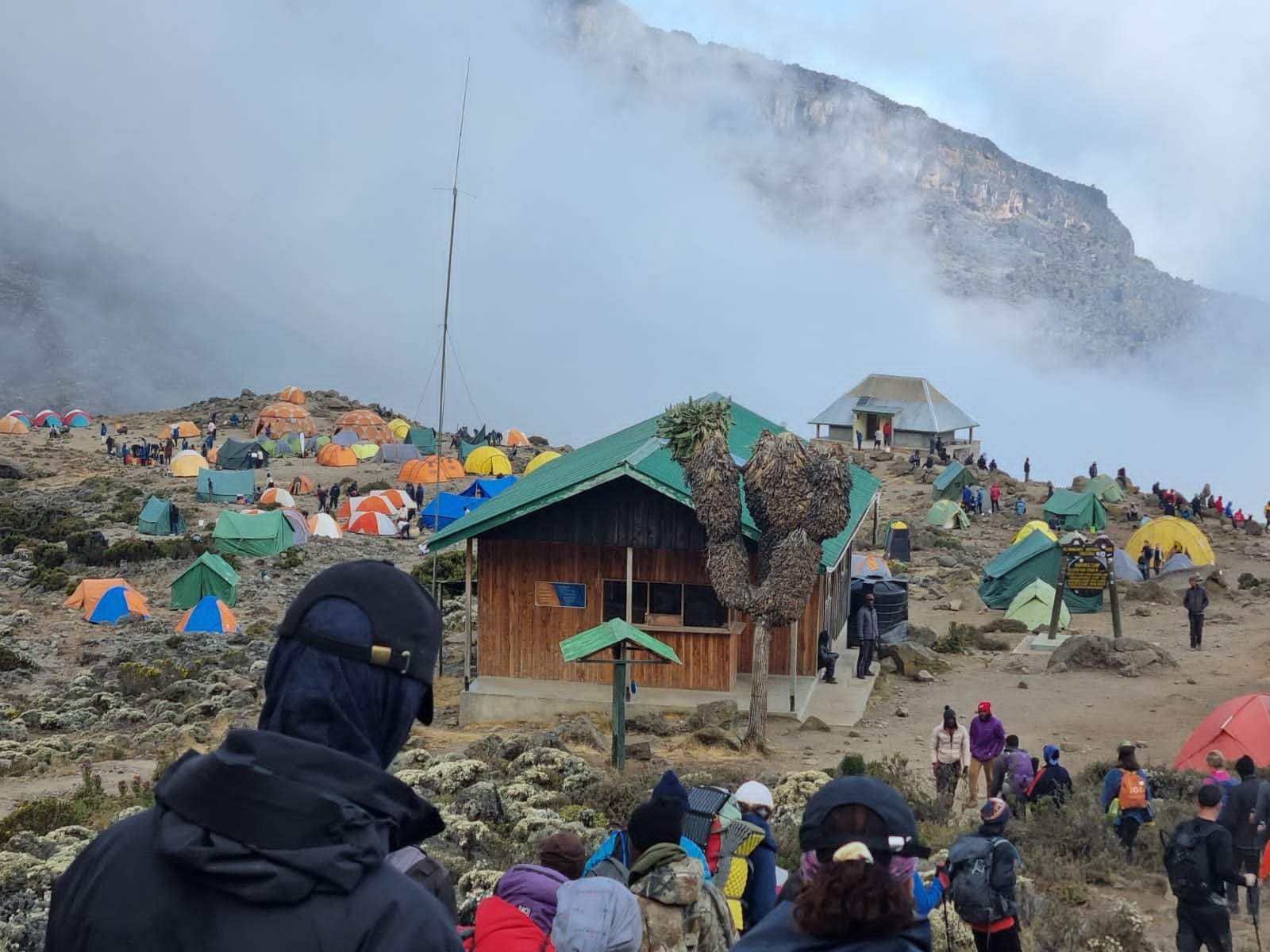 Trekkers ascending slowly through alpine desert terrain on Kilimanjaro