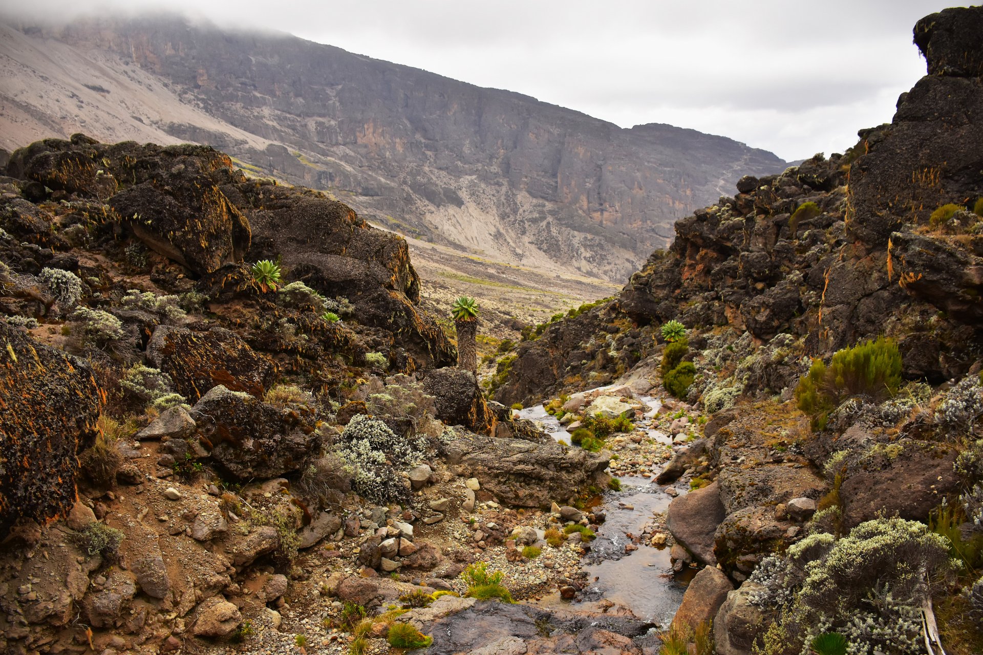 Trekkers enjoying panoramic mountain views in northern Tanzania