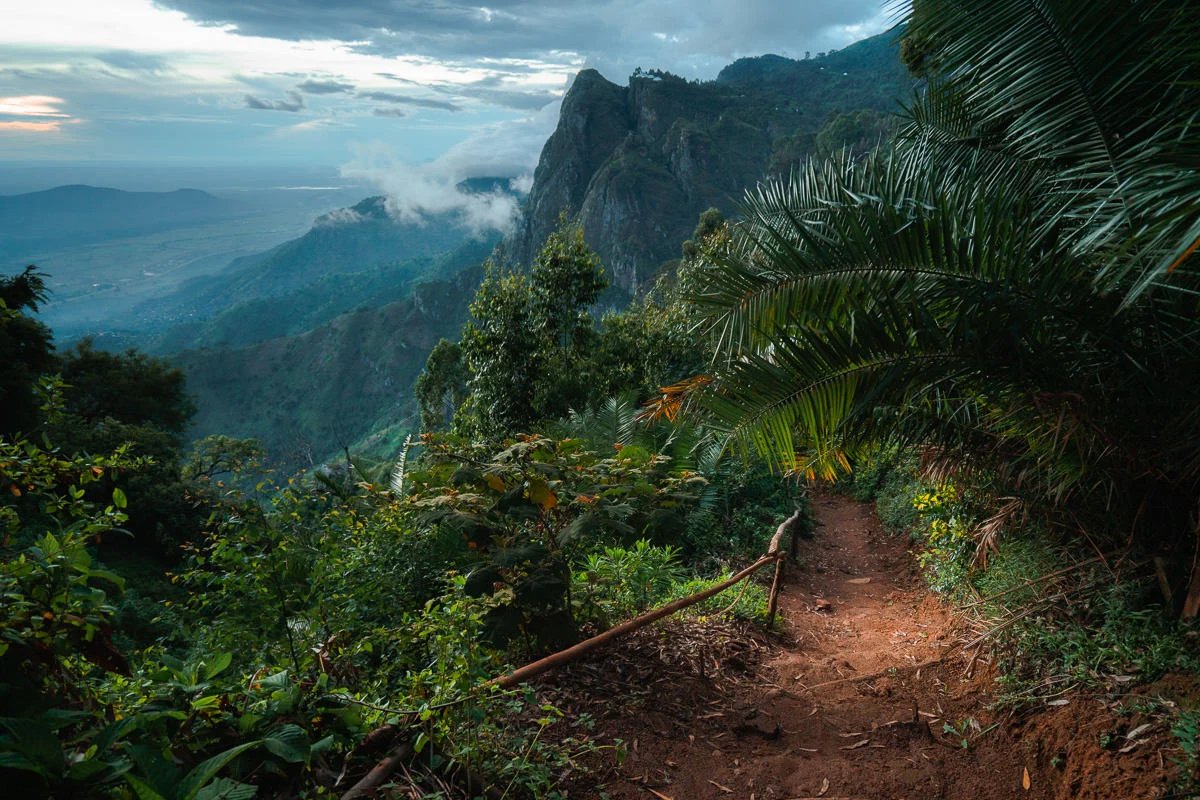 Traveler standing at Irente Viewpoint overlooking the Usambara valleys