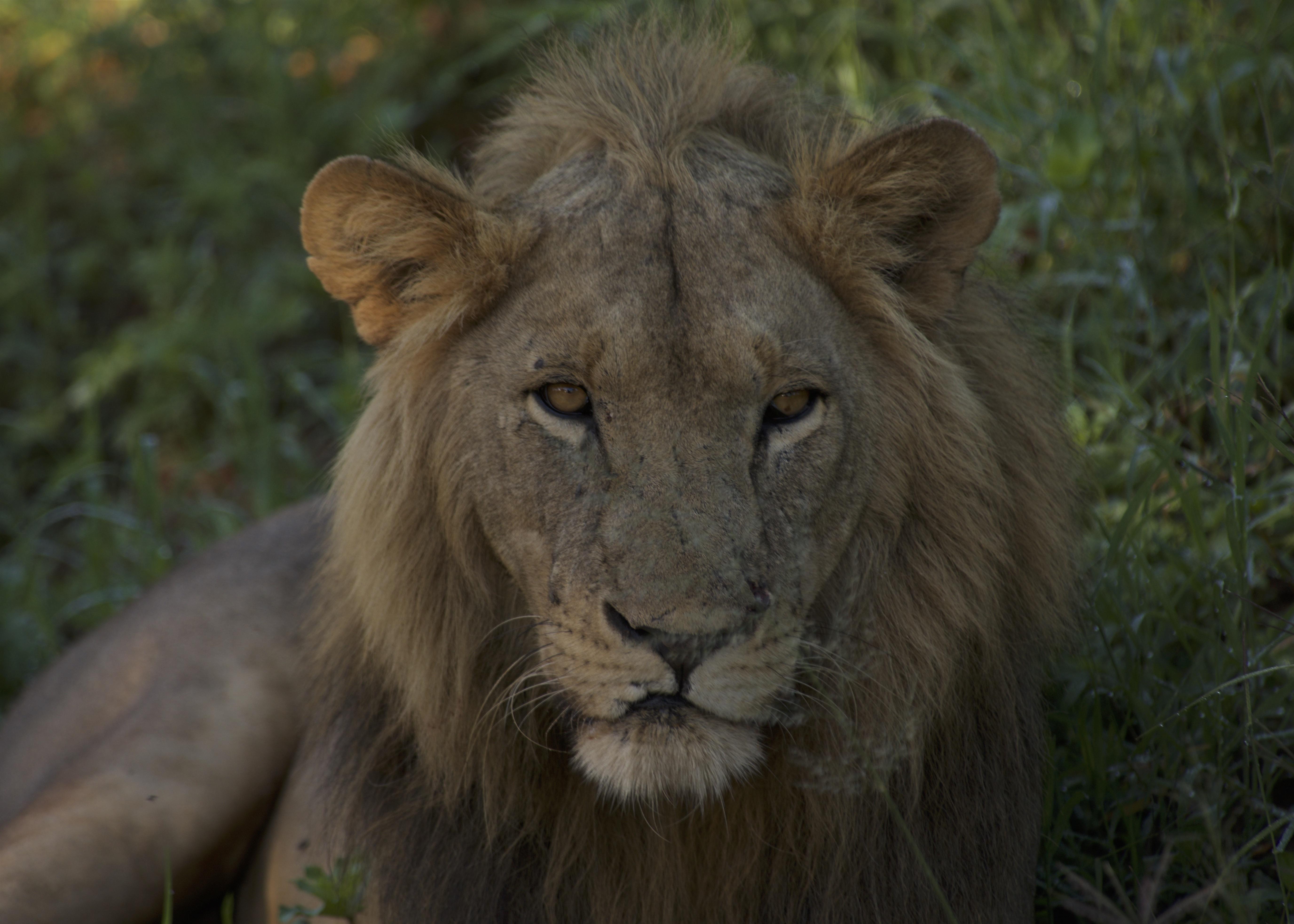 Tarangire National Park – Land of Giants