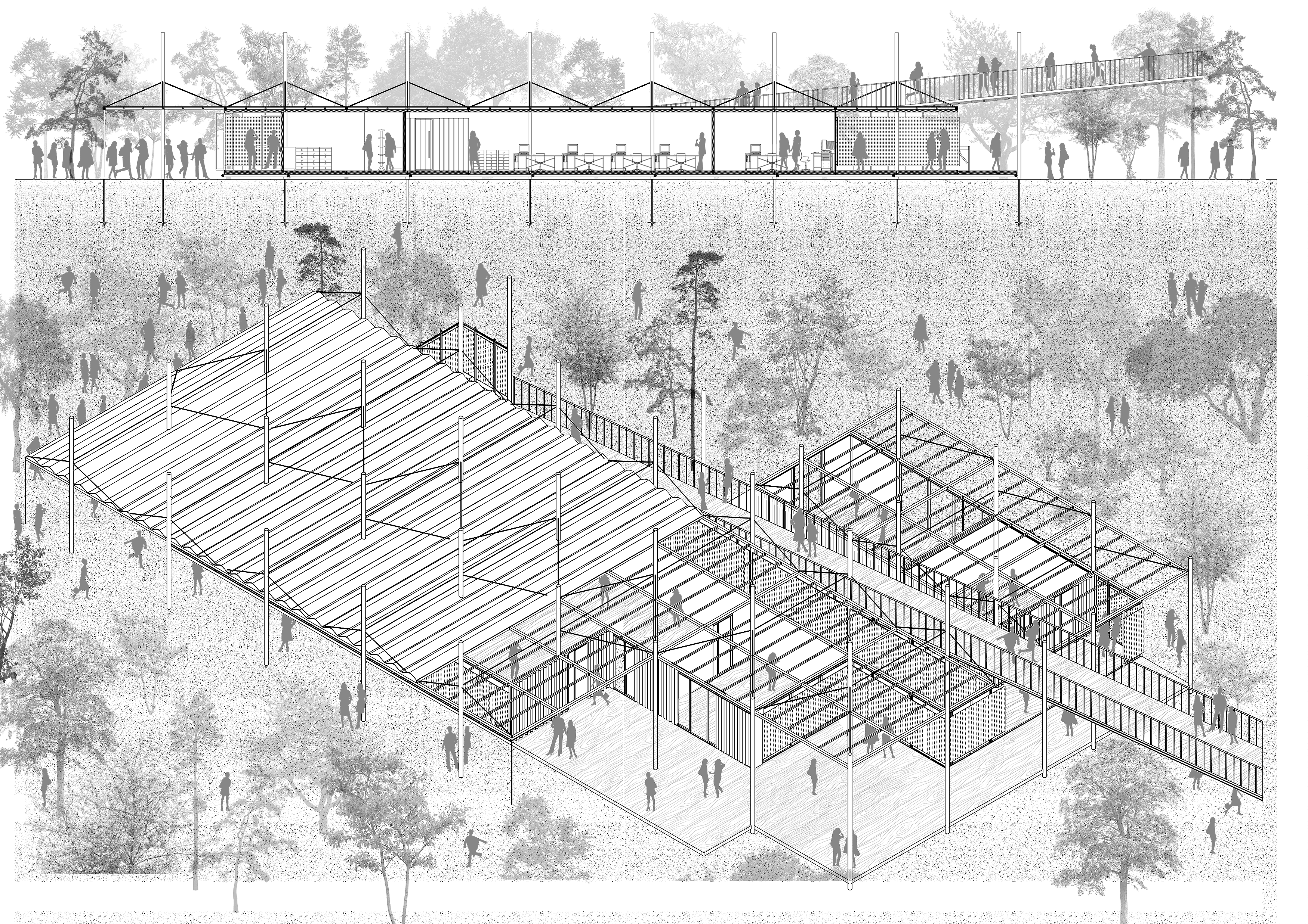 Sound Festival — Reception Pavilion — Axonometric view