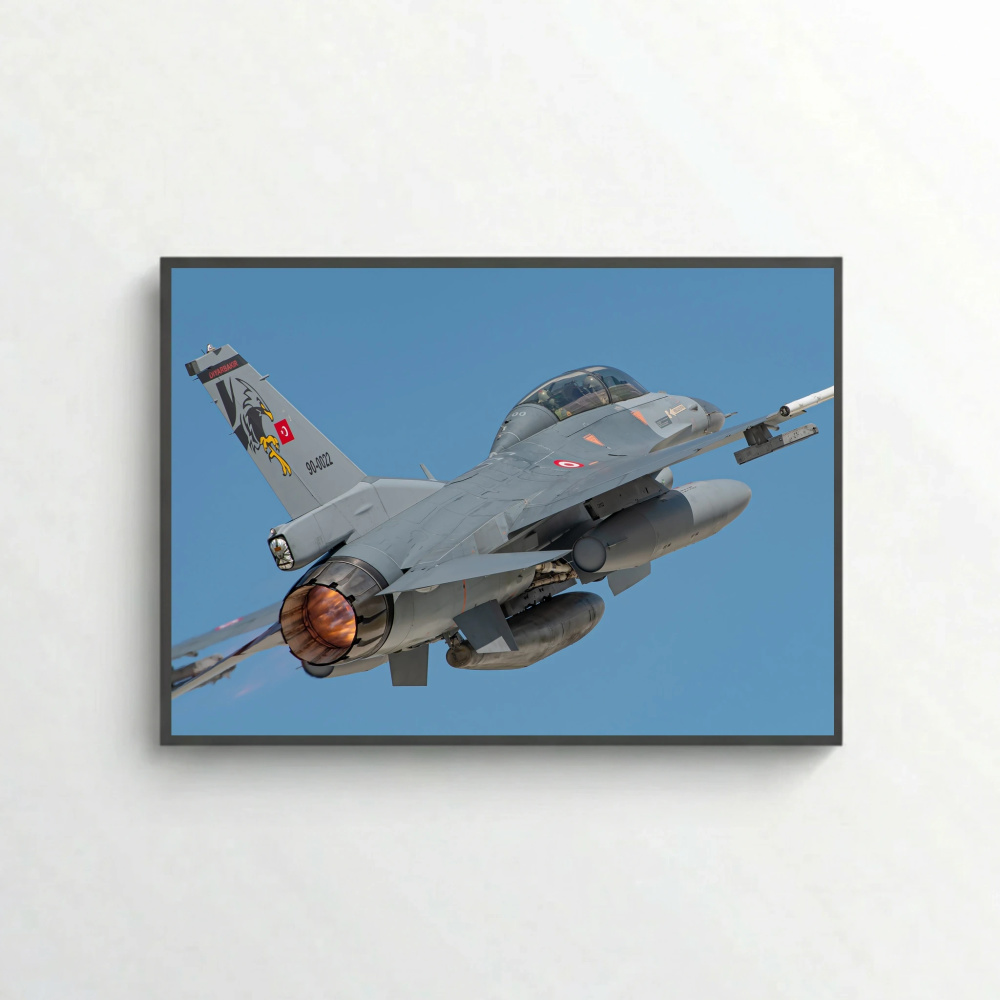 Turkish Falcon