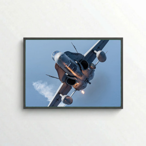 Aviation