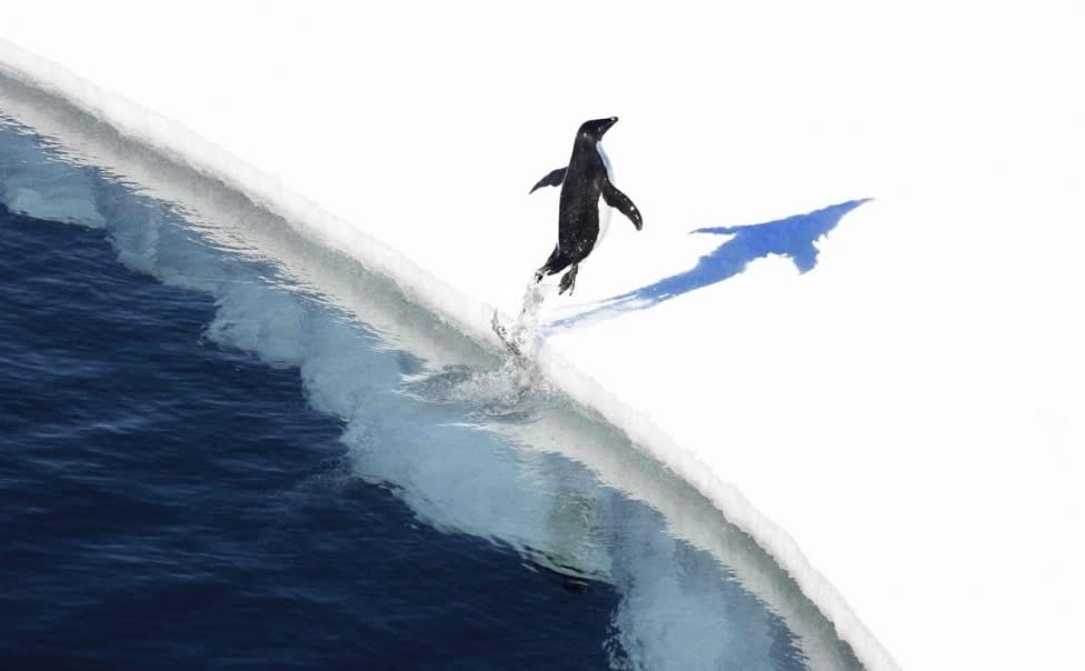 85 años de estabilidad e incluso crecimiento del hielo