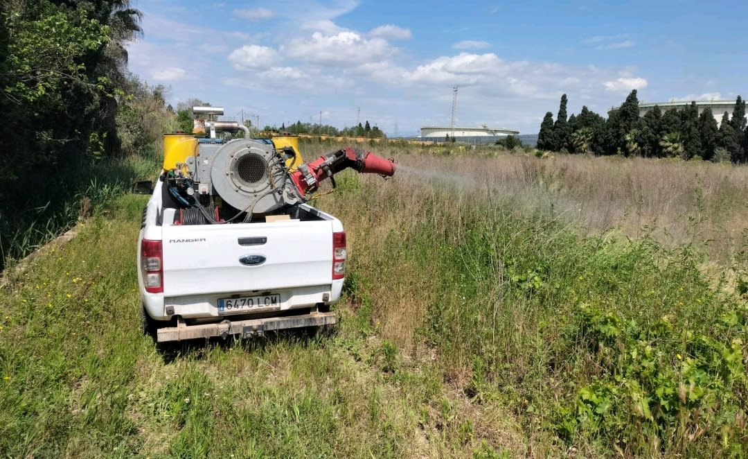 Almassora realiza trabajos contra las plagas urbanas en el alcantarillado público