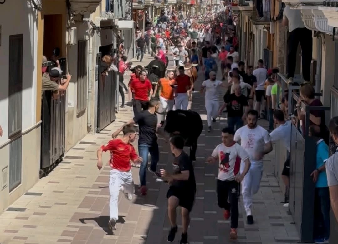 Almassora se convierte en el epicentro de los bous al carrer con un multitudinario encierro