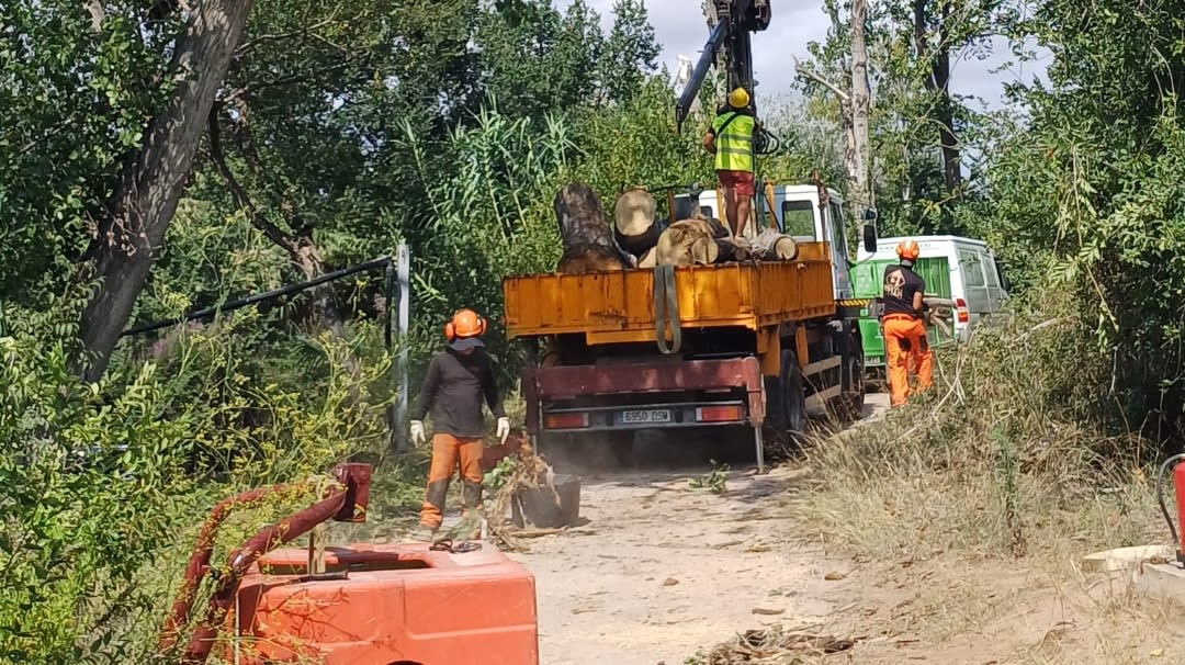 Burriana refuerza la prevención de incendios con la poda y retirada de material seco en el Clot