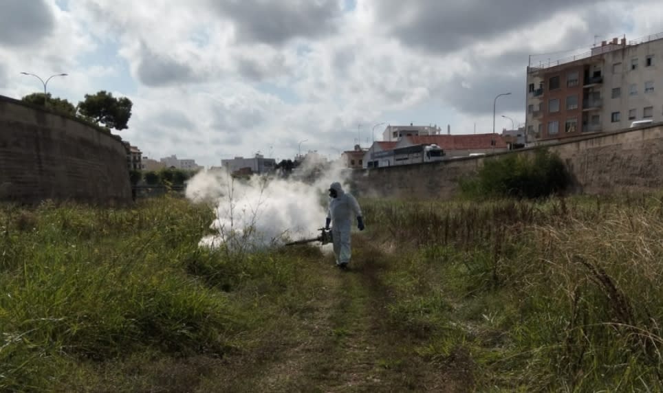 Burriana refuerza los tratamientos contra mosquitos con nuevas fumigaciones en Santa Bárbara y el río Ana