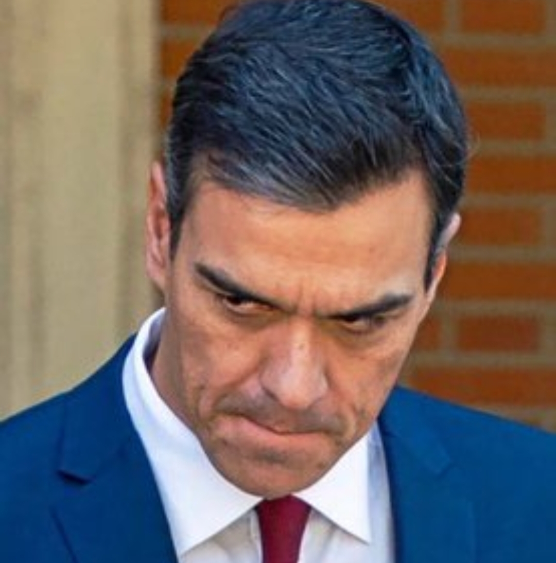 El apagón masivo por Sonia Villa, sin paliativos
