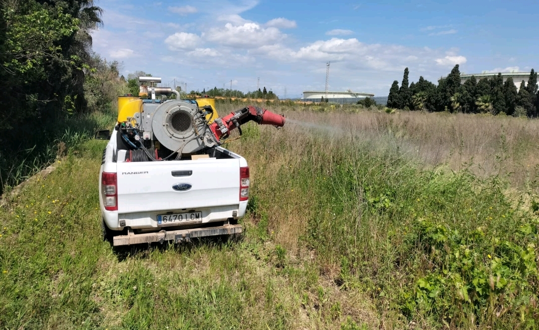 Almassora realiza trabajos contra las plagas urbanas en el alcantarillado público