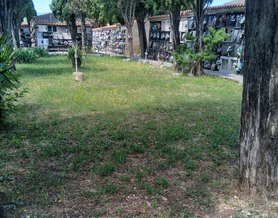 El PP de Les Coves pide actuar en el cementerio ante las quejas de los vecinos por abandono