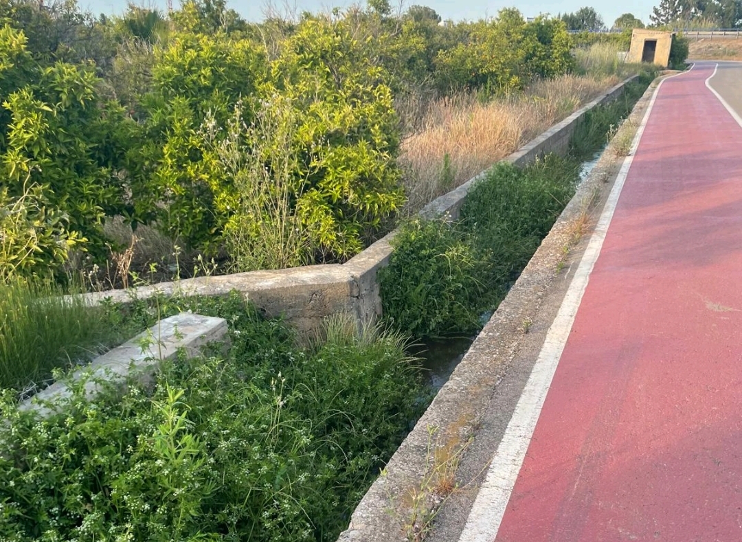 El PP de Nules urge la limpieza de los canales de la Marjaleria para prevenir inundaciones y evitar plagas