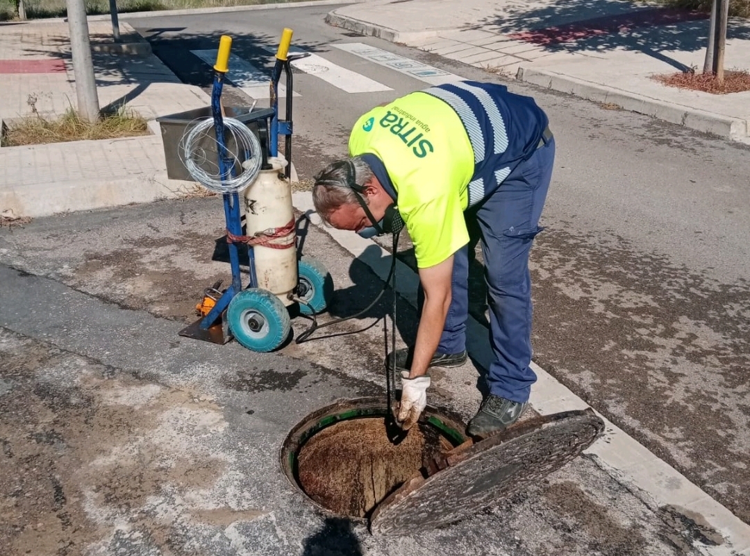 Almassora refuerza los tratamientos contra ratas y cucarachas para evitar su proliferación durante el verano