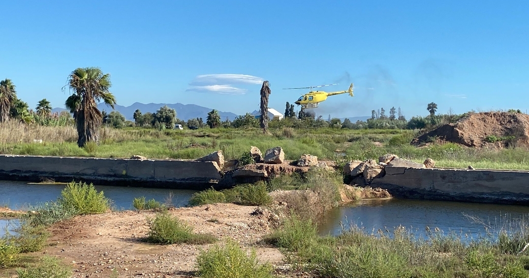 Burriana y Diputación realizarán tratamiento aéreo contra los mosquitos por segundo año consecutivo