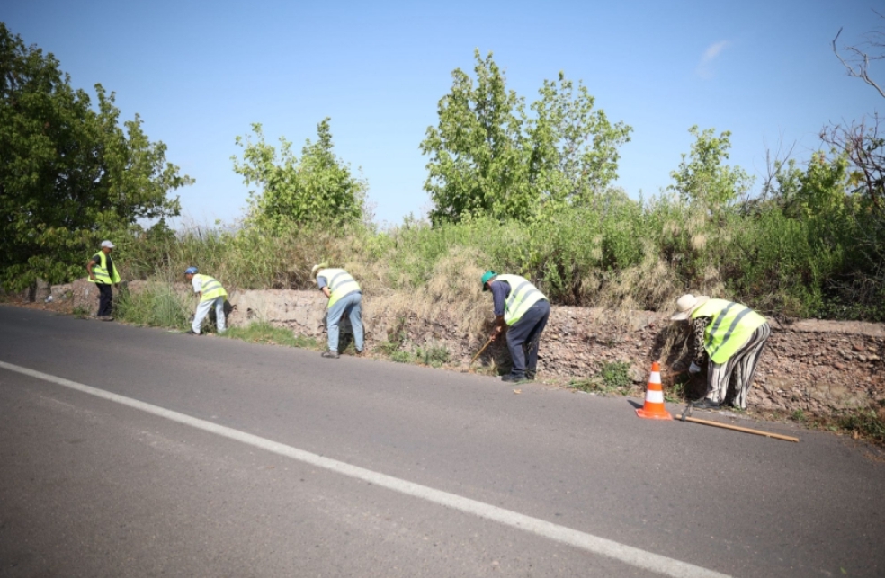 65 personas contratadas para combatir el paro agrario comienzan sus trabajos en Burriana