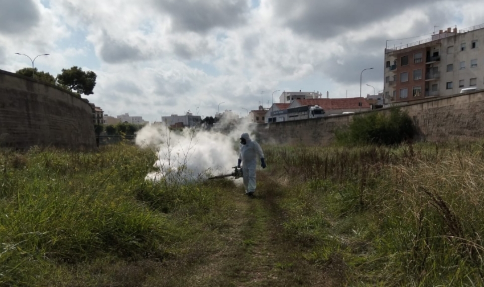 Burriana refuerza los tratamientos contra mosquitos con nuevas fumigaciones en Santa Bárbara y el río Ana