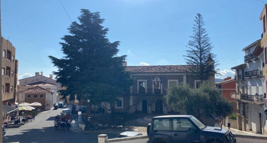 Bejís se moviliza para salvar su patrimonio arbóreo