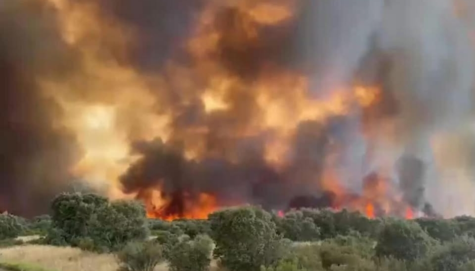 Arden 115.000 hectáreas en 14 días de agosto: el fuego deja 3 muertos, miles de evacuados y 30 sospechosos detenidos