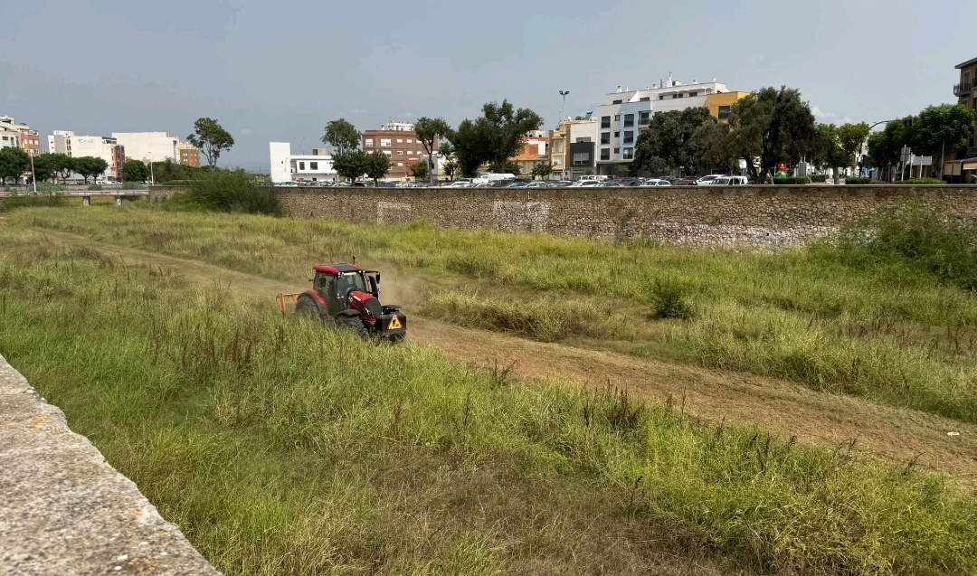 Burriana pone en marcha la limpieza del cauce del Río Anna en su tramo urbano