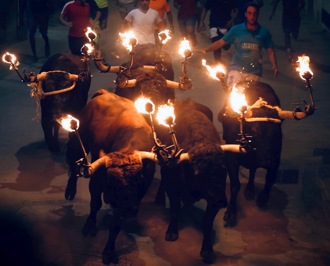 Burriana celebra encierro de toros embolados