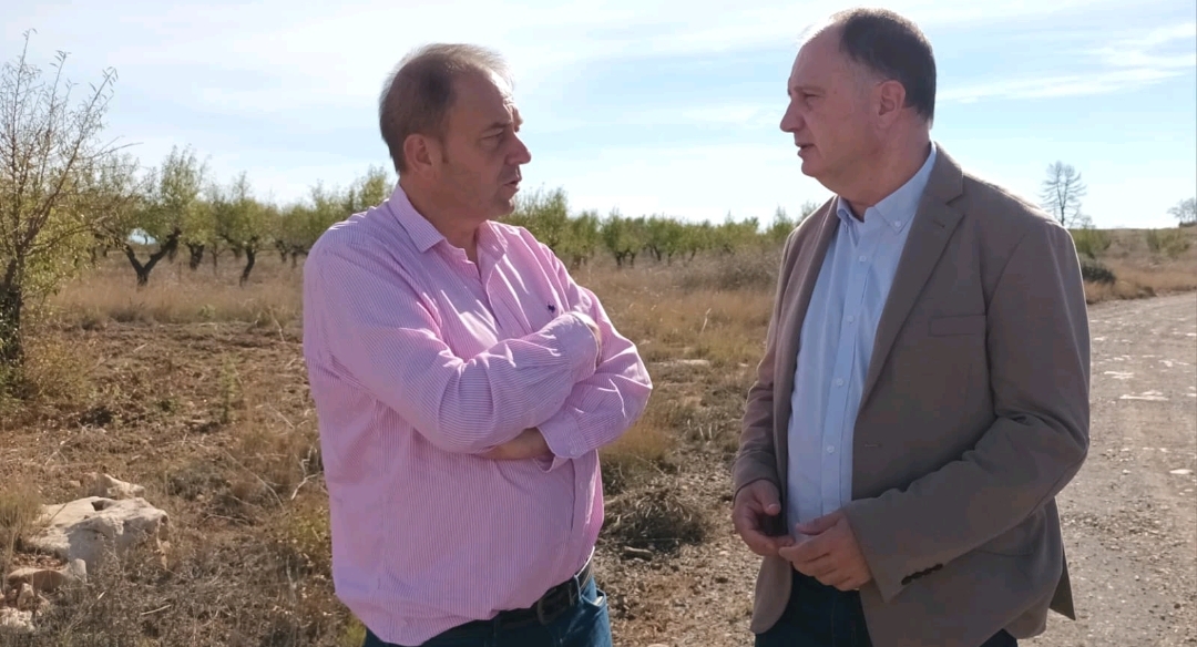 La provincia de Castellón recibe 280.000 euros del Consell para controlar el jabalí y evitar riesgos en las personas, daños en la agricultura y accidentes