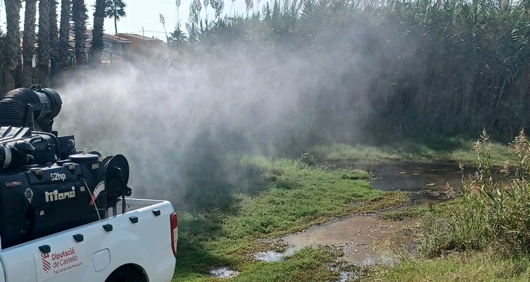 Almassora intensifica los tratamientos contra los mosquitos tras las intensas lluvias caídas