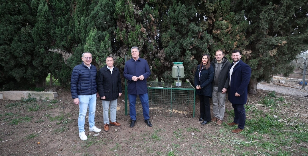 El control del jabalí en Burriana desata el choque político: el PP ejecuta el plan con apoyo de la Generalitat y VOX queda al margen