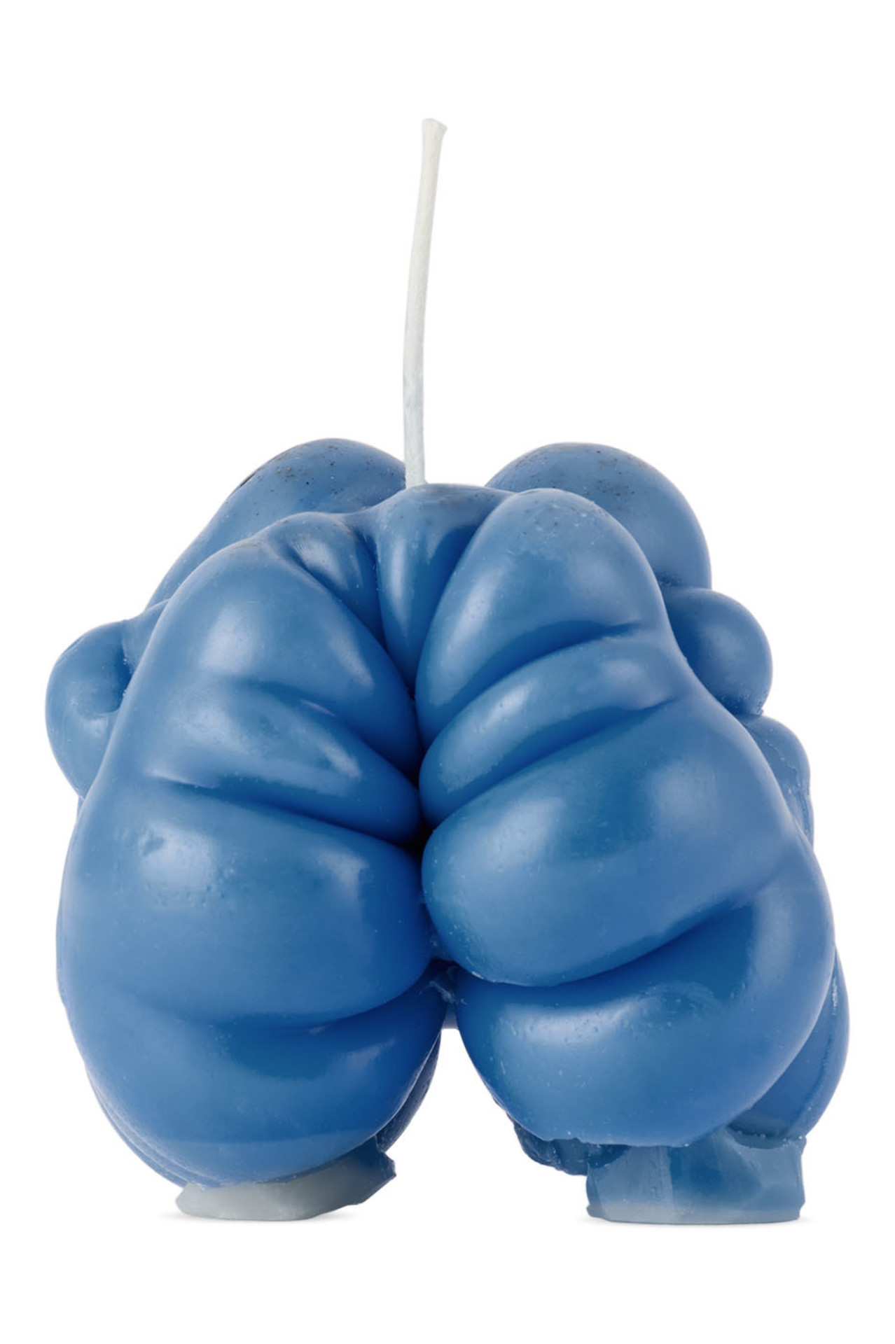 SSENSE Exclusive Blue Heirloom Tomato Candle