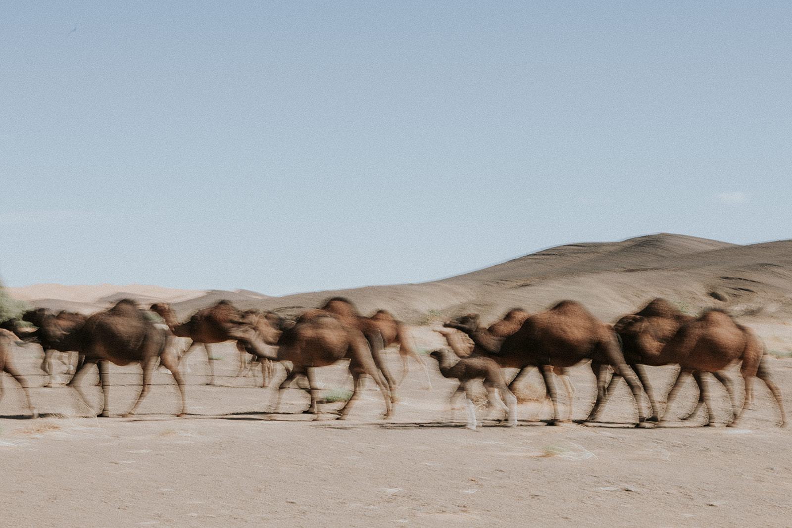 Luxury Sahara desert camp at Erg Chebbi dunes, Morocco