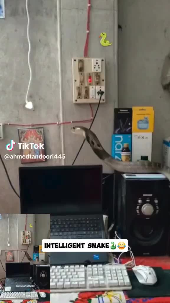 Add New Listing