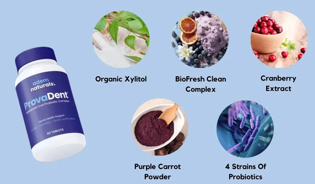 ProvaDent Reviews An In-Depth Exploration of Oral Health Supplement