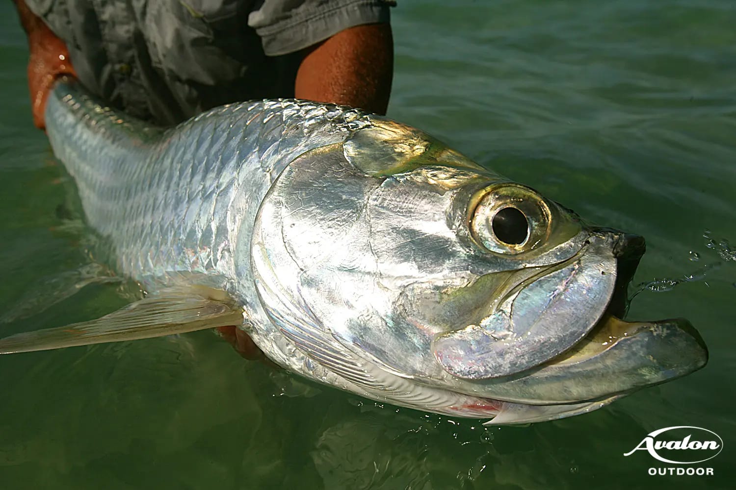 jdr-fishing-photos_31