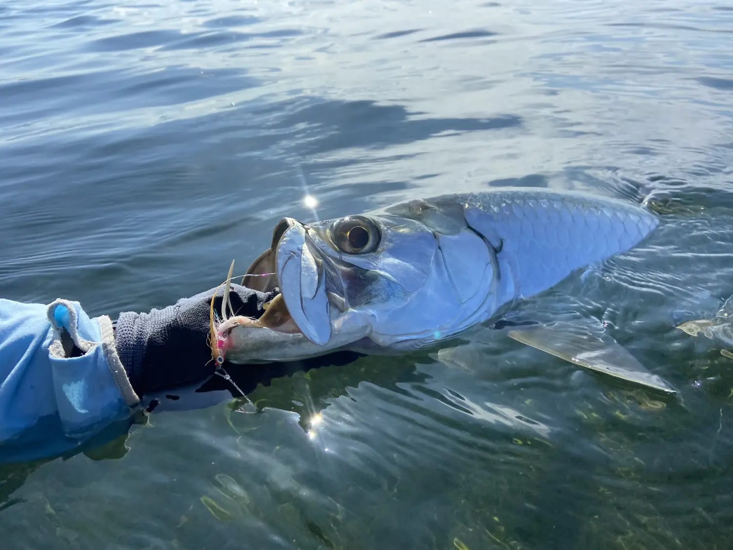 jdr-fishing-photos_17